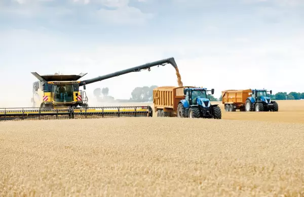 Sequa y COVID-19: la ltima campaa de soja dejar menos dlares que el ao anterior