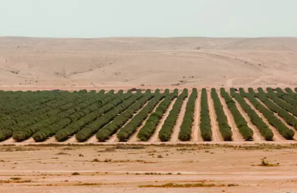 Un argentino en Israel: cómo salir de la mediocridad productiva para ser una startup nation
