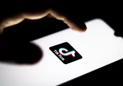 Es segura TikTok? Qu peligros esconde la red social ms popular del momento?