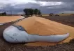 Las entidades rurales estiman que la rotura de silobolsas dañó 5.700 toneladas de grano