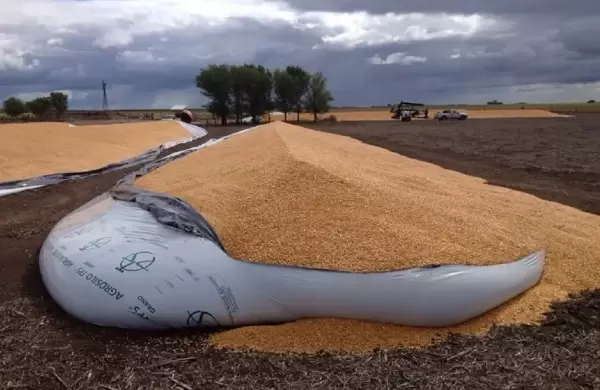 Las entidades rurales estiman que la rotura de silobolsas da 5.700 toneladas de grano