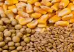 La soja y el maíz tocan valores máximos en más de tres meses