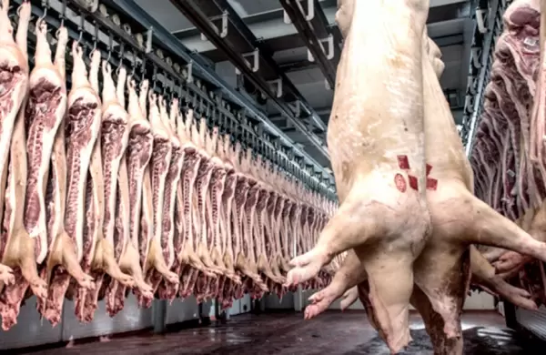 Felipe Solá avanza en un acuerdo con China para exportar 9 millones de toneladas de carne porcina