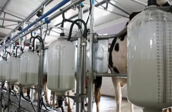 Industria lechera “al borde del colapso”: las empresas afirman que no pueden trasladar la suba de precios