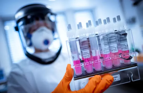 Segn The Lancet, la vacuna de la Universidad de Oxford contra el Coronavirus es segura y genera anticuerpos