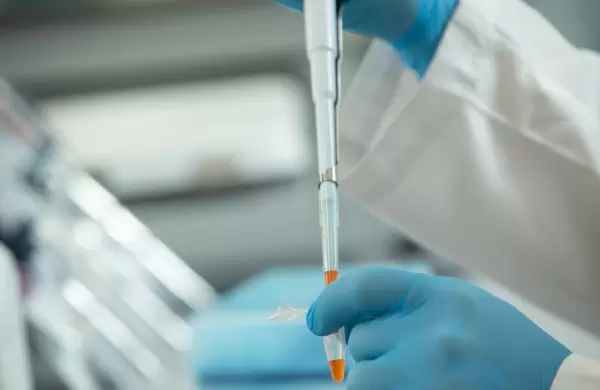 Anmat aprob ensayos clnicos con suero de caballos: Argentina podra tener su propio tratamiento para el Covid-19