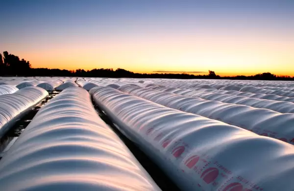 Córdoba quiere prevenir posibles ataques a silobolsas con sensores de movimiento