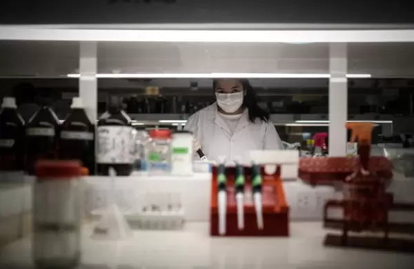 Uno de cada cuatro dólares en investigación y desarrollo en Argentina lo aporta la industria farmacéutica