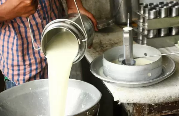 La produccin de leche durante el 2020 ser la ms baja de los ltimos diez aos