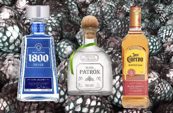 Los 5 tequilas ms populares del mundo