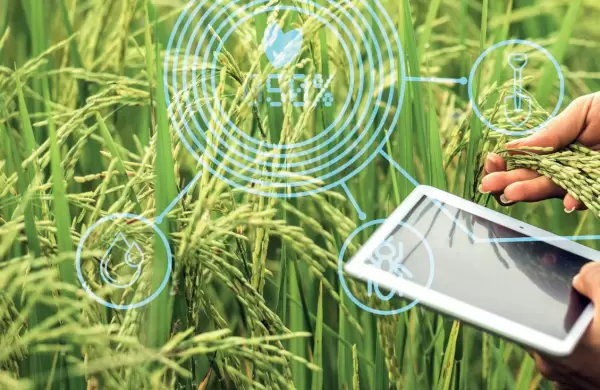 Campo Bit: las ltimas tecnologas que revolucionaron el sector