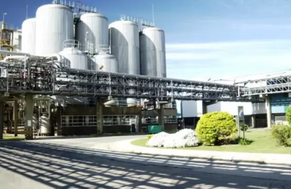Quilmes generó exportaciones por US$ 812 millones en los últimos tres años