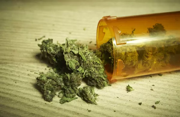 Las coincidencias entre la Argentina y Estados Unidos por la legalización del cannabis