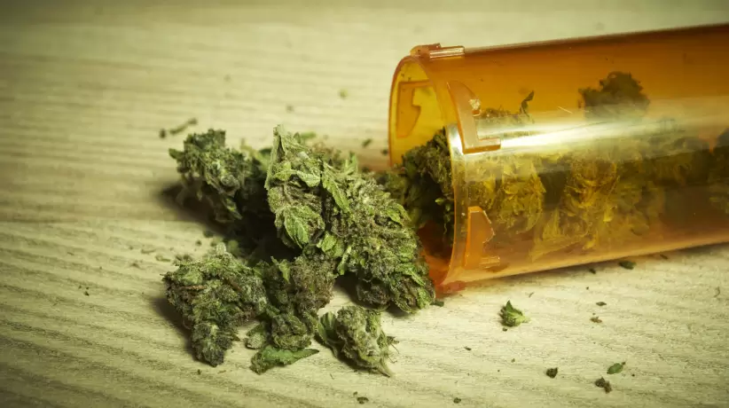 Estados Unidos avanza en la legalización federal del cannabis mientras la Argent