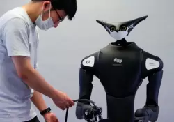 Model - T: el robot al que recurren las principales cadenas de Japn para suplir la falta de mano de obra