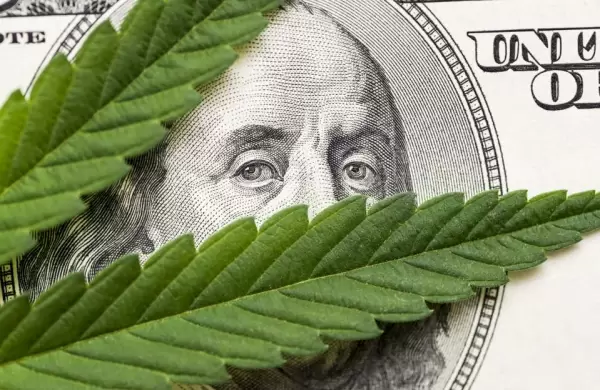 La agencia impositiva de EE.UU. abrió una página web para la industria de la marihuana