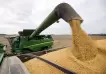 La Bolsa de Comercio de Rosario recorta estimación de cosecha de soja y maíz por la sequía