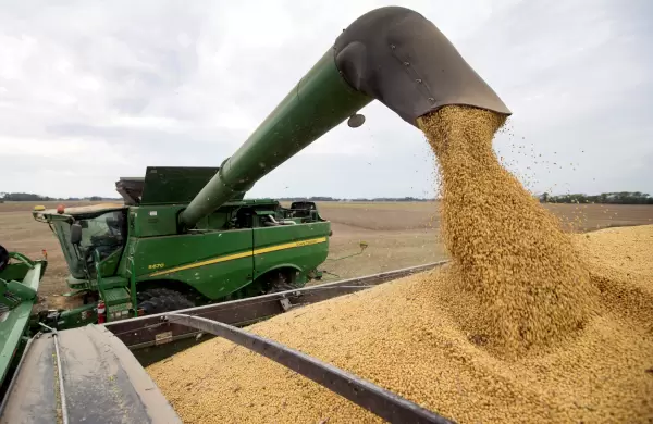 La Bolsa de Comercio de Rosario recorta estimación de cosecha de soja y maíz por la sequía