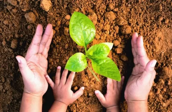 Economía Verde para la recuperación postpandemia