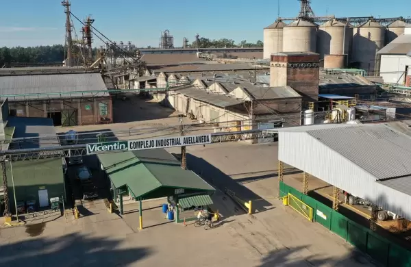 Dudas de los acreedores por el nuevo directorio de Vicentin