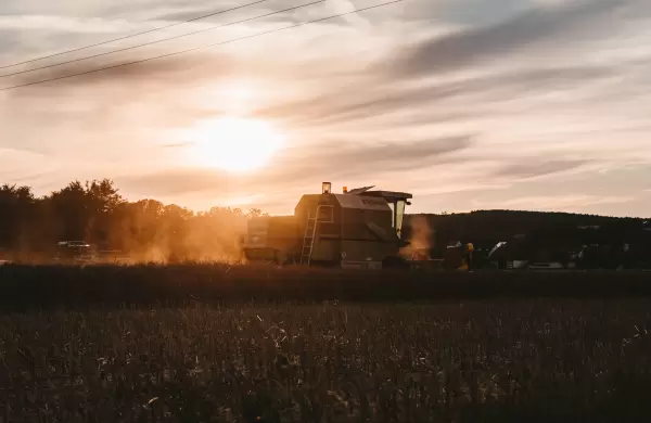 Con los commodities en alza, cmo estn liquidando los productores argentinos?
