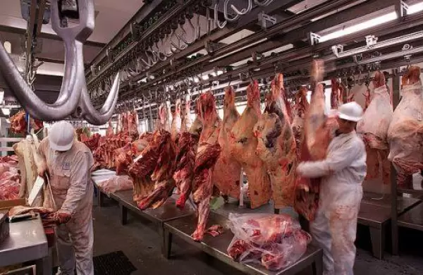 AMT Sud: consiguieron inversores extranjeros, evitaron la quiebra y hoy exportan carne a China y al mundo