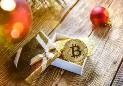 Bitcoin alcanzar los 20.000 dlares en Navidad? Hay optimismo en los inversores