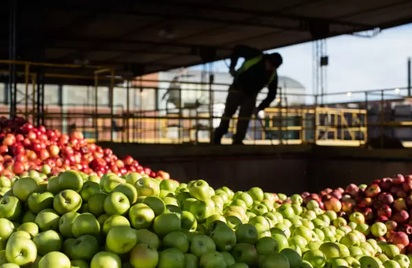 Productores frutícolas cuestionan el atraso cambiario y piden avanzar con la reforma laboral