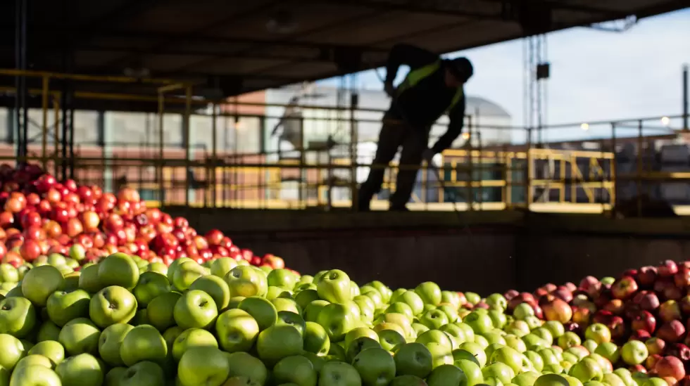 Elaboracin sidras y manzanas