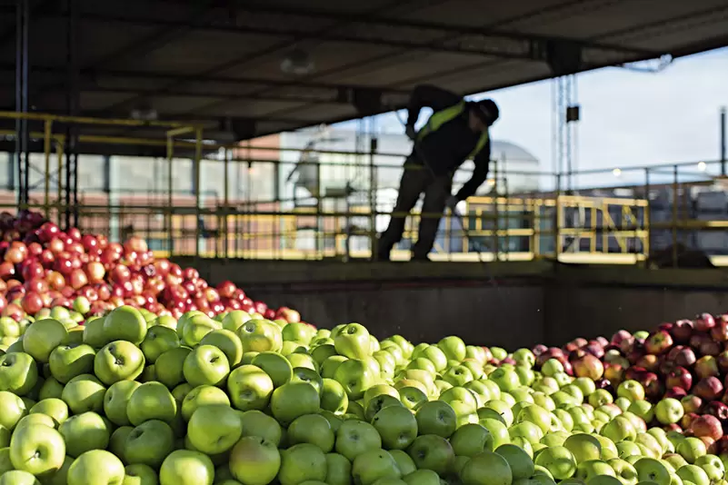 manzanas n web