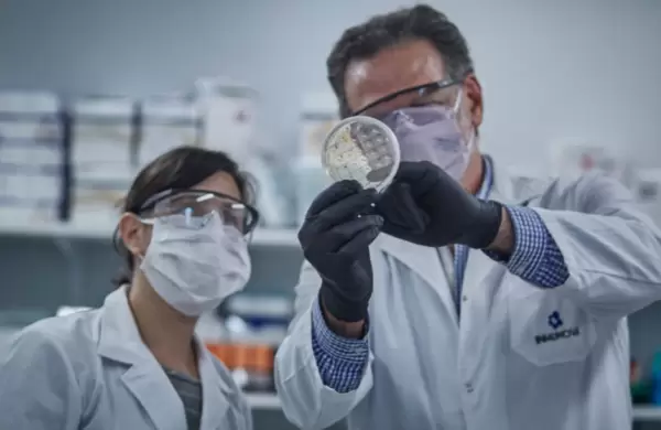 Qué es y cómo funciona el suero equino hipernmune para tratar el Coronavirus