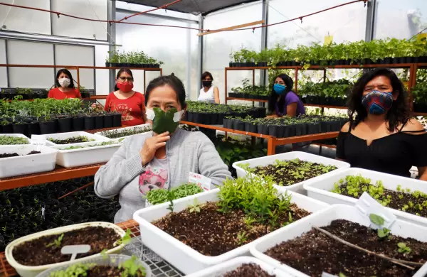 Comenzaron aprendiendo a trabajar la tierra y hoy estas 14 mujeres del Barrio Rodrigo Bueno autogestionan su propio vivero orgánico