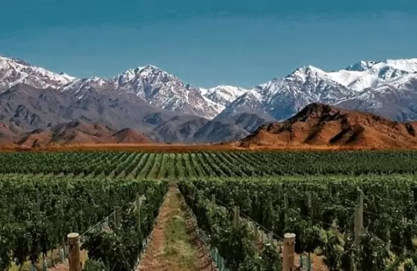 Ranking Forbes: Mendoza, el único destino argentino dentro del TOP 10