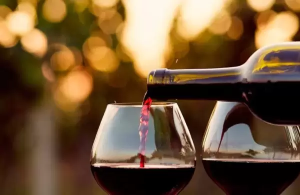 Cules son las metas que se plante el sector vitivincola para el 2030