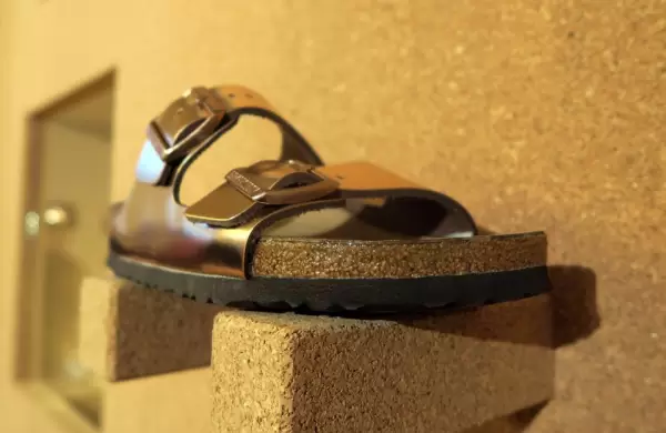 Cunto pag L Catterton por Birkenstock, la popular marca de sandalias alemanas