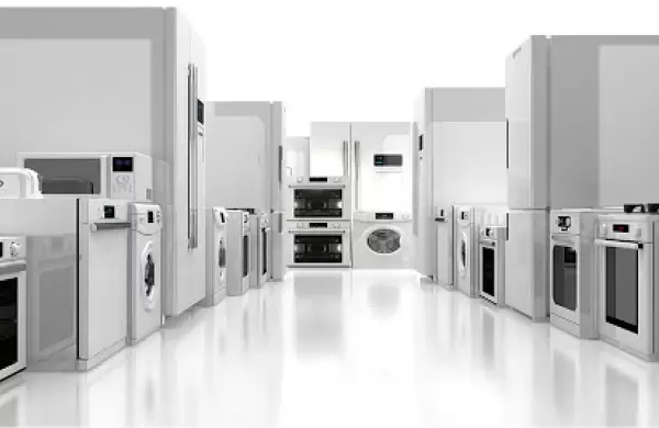 Un  jugador del mercado local aumenta su apuesta en la produccin de electrodomsticos