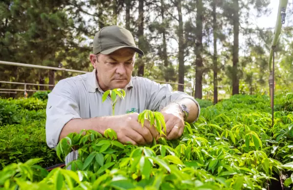 Reconstrucción posible