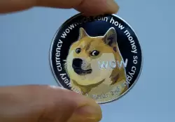 Dogecoin se dispara a mximos histricos y alcanza una capitalizacin de mercado de US$ 52.200 millones