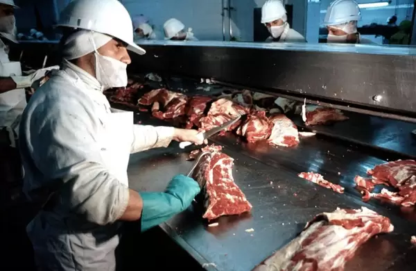 Cómo es el nuevo registro de exportación de carne que creó el Gobierno y de qué forma impactará en el sector
