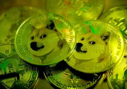 La volatilidad del precio de Dogecoin eclipsa el panorama general