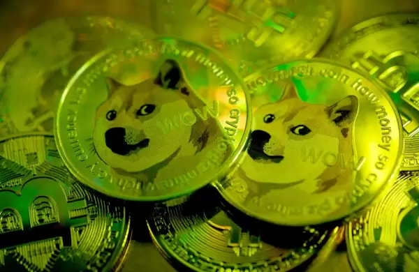 La volatilidad del precio de Dogecoin eclipsa el panorama general