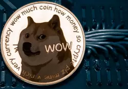 Dogecoin, Elon Musk y la ltima mana de Reddit