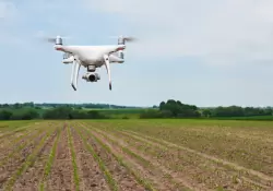 El Estado sigue aumentando "su participacin" en las ganancias del agro