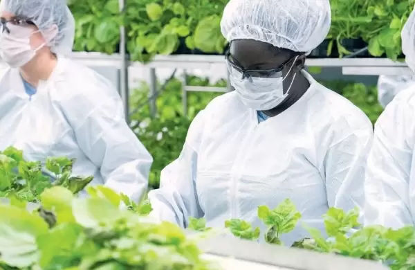 Covid 19: Gua para ser voluntario de una nueva vacuna en la Argentina