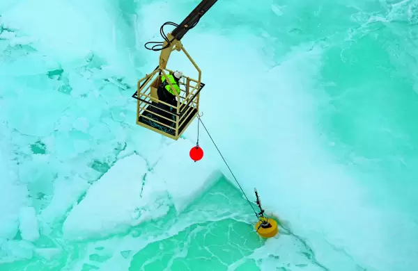 La naturaleza pide silencio