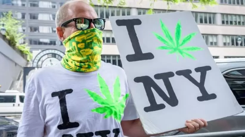 new-york-marihuana