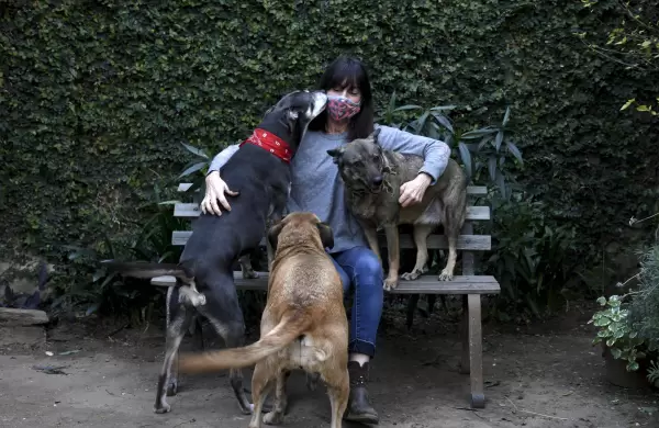 Dos empresas se unen para ayudar a prolongar la vida de los perros