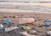 Los materiales por el coronavirus están "plastificando" el mar argentino