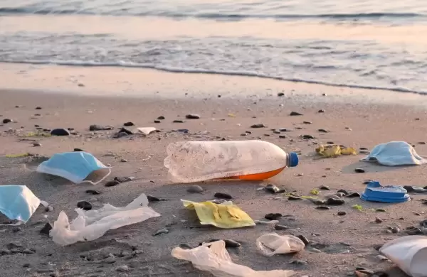 Los materiales por el coronavirus están "plastificando" el mar argentino
