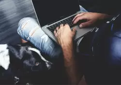 Teletrabajo: cmo hacer que su mascota entienda que est ocupado